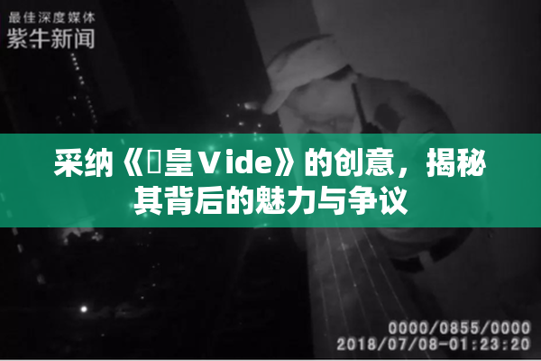 采纳《嘼皇Ⅴide》的创意，揭秘其背后的魅力与争议