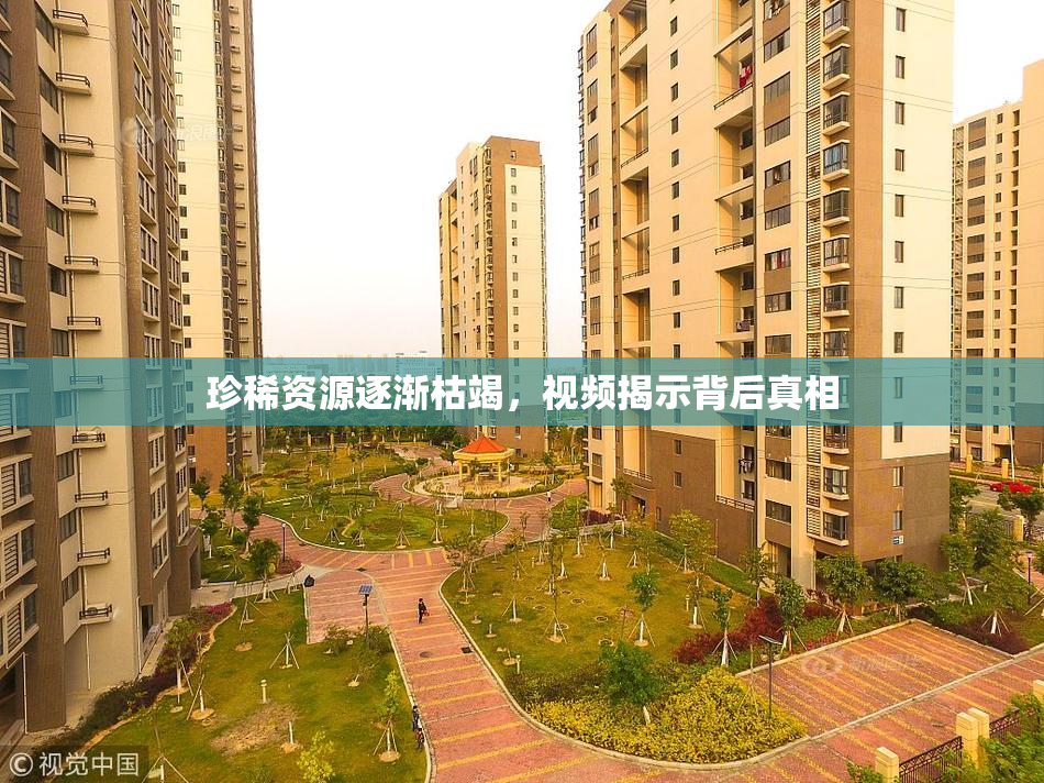 珍稀资源逐渐枯竭，视频揭示背后真相