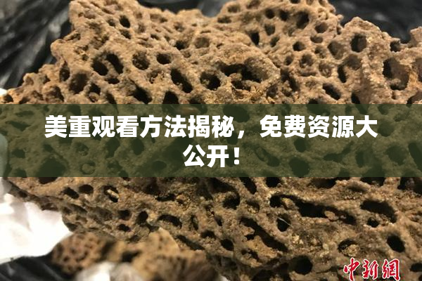 美重观看方法揭秘，免费资源大公开！