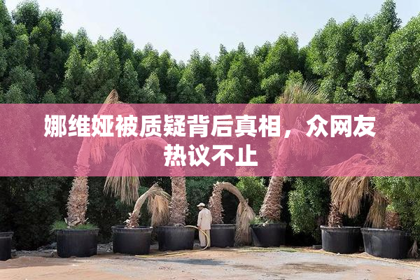 娜维娅被质疑背后真相，众网友热议不止