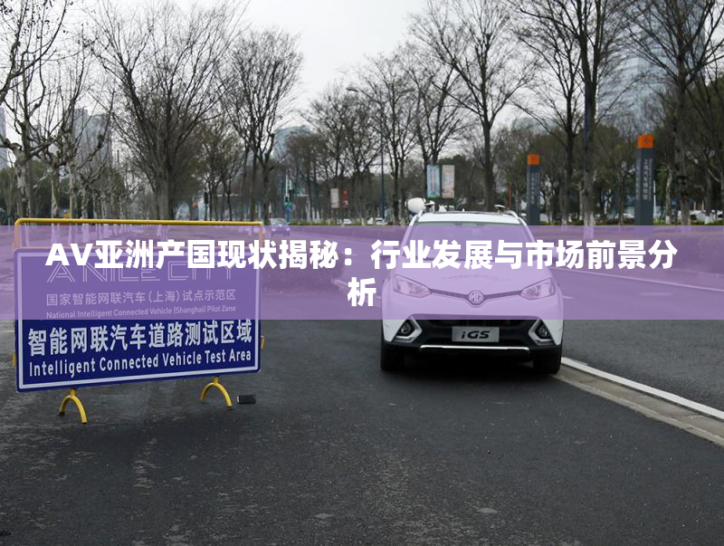 AV亚洲产国现状揭秘：行业发展与市场前景分析