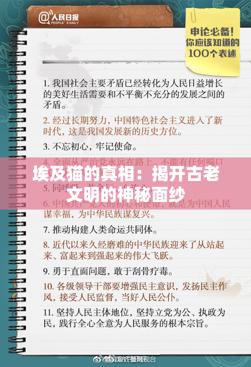 埃及猫的真相：揭开古老文明的神秘面纱