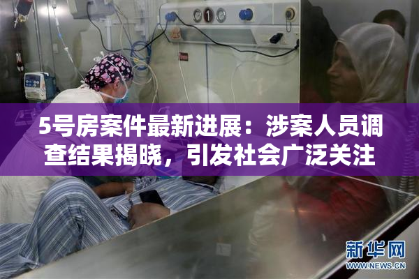 5号房案件最新进展：涉案人员调查结果揭晓，引发社会广泛关注