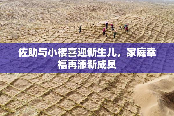 佐助与小樱喜迎新生儿，家庭幸福再添新成员