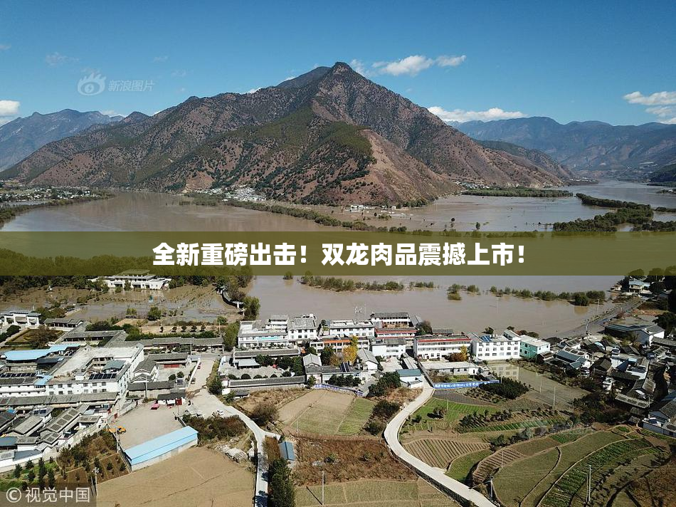 全新重磅出击！双龙肉品震撼上市！