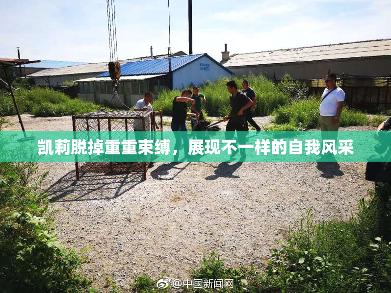 凯莉脱掉重重束缚，展现不一样的自我风采