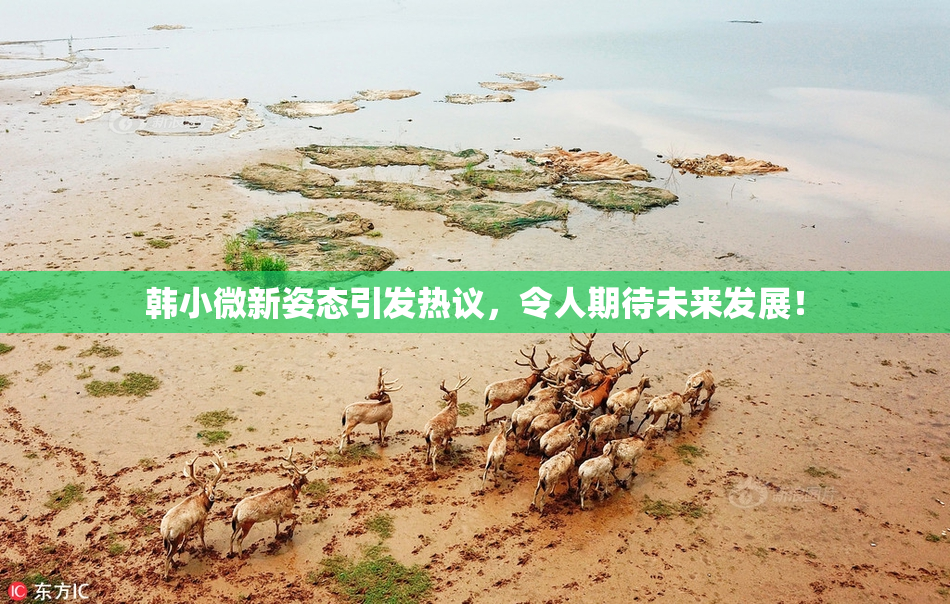 韩小微新姿态引发热议，令人期待未来发展！