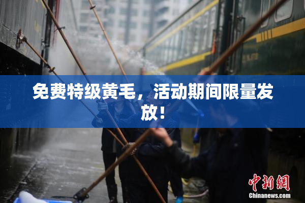 免费特级黄毛，活动期间限量发放！