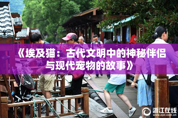 《埃及猫：古代文明中的神秘伴侣与现代宠物的故事》