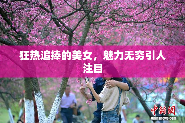 狂热追捧的美女，魅力无穷引人注目