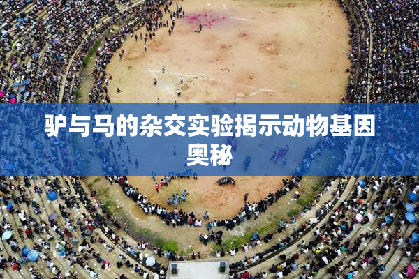 驴与马的杂交实验揭示动物基因奥秘