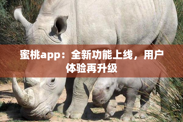 蜜桃app：全新功能上线，用户体验再升级