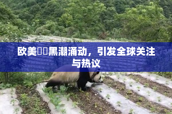 欧美❌‌黑潮涌动，引发全球关注与热议