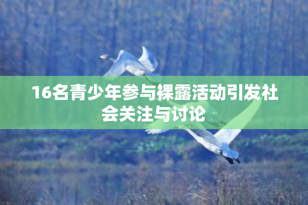 16名青少年参与裸露活动引发社会关注与讨论