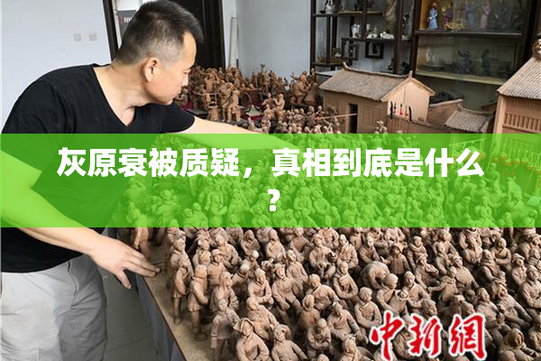 灰原衰被质疑，真相到底是什么？