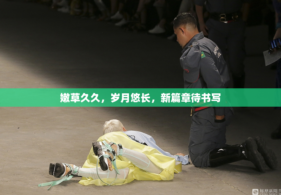 嫩草久久，岁月悠长，新篇章待书写