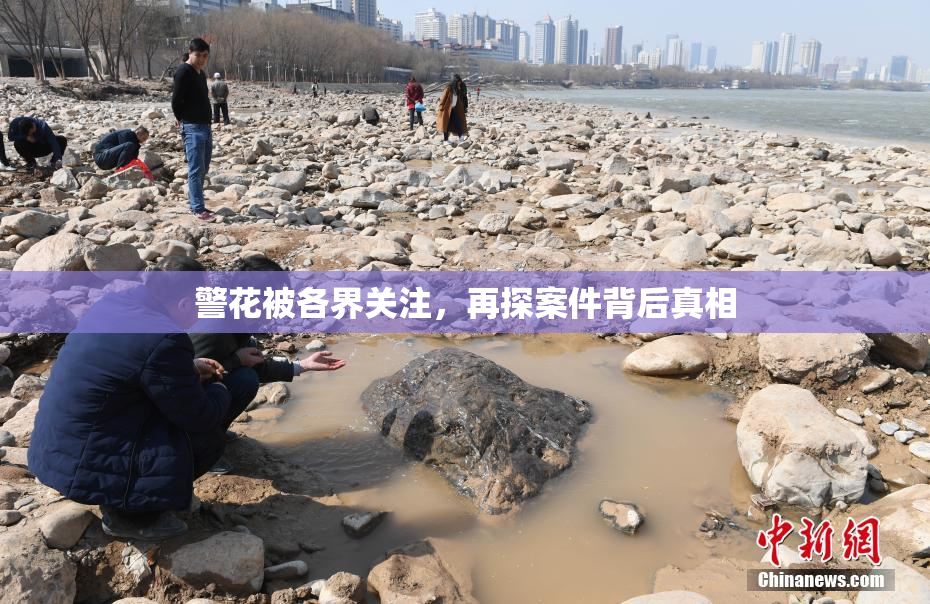 警花被各界关注，再探案件背后真相