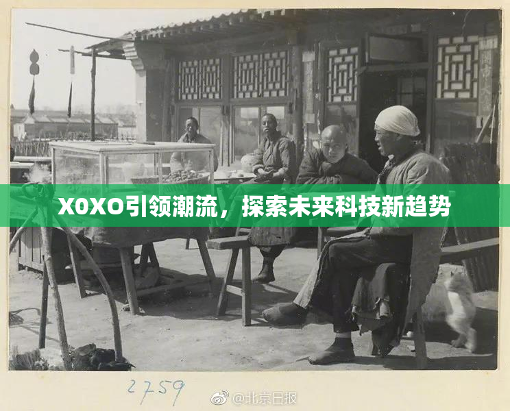X0XO引领潮流，探索未来科技新趋势