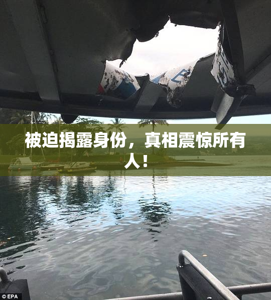 被迫揭露身份，真相震惊所有人！