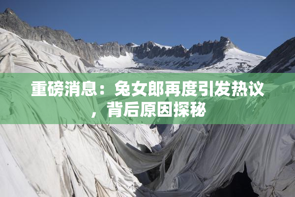 重磅消息：兔女郎再度引发热议，背后原因探秘