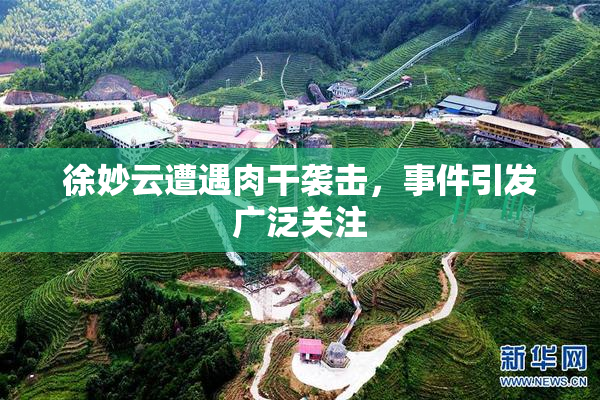 徐妙云遭遇肉干袭击，事件引发广泛关注
