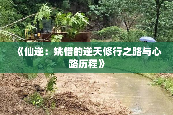 《仙逆：姚惜的逆天修行之路与心路历程》