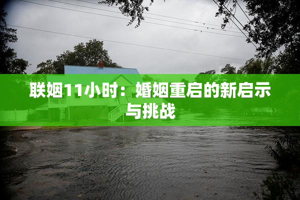 联姻11小时：婚姻重启的新启示与挑战