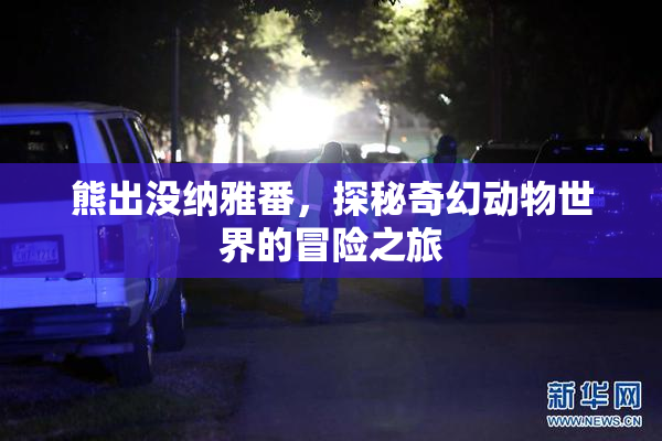 熊出没纳雅番，探秘奇幻动物世界的冒险之旅