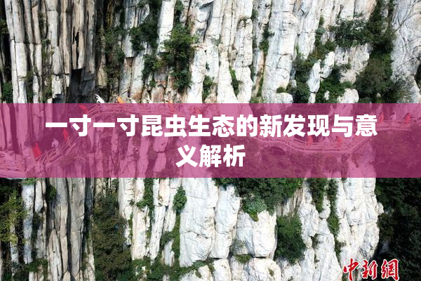 一寸一寸昆虫生态的新发现与意义解析
