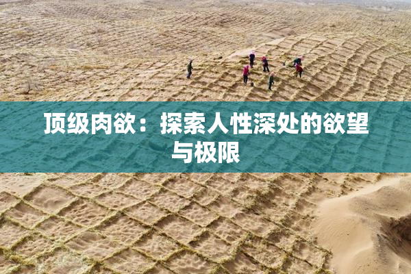 顶级肉欲：探索人性深处的欲望与极限