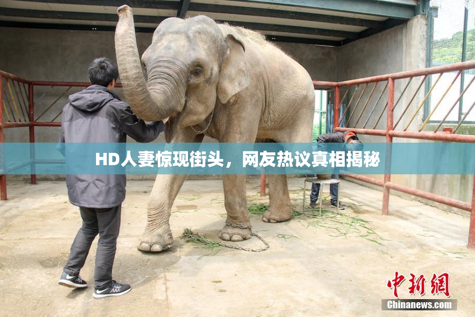 HD人妻惊现街头，网友热议真相揭秘