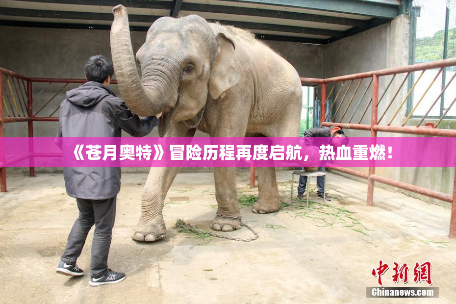 《苍月奥特》冒险历程再度启航，热血重燃！