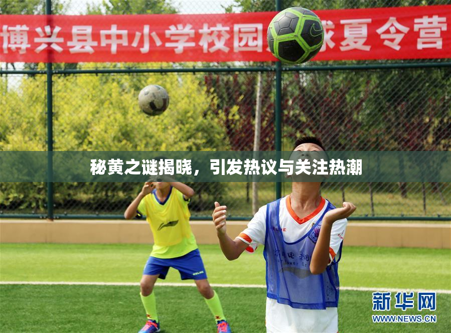 秘黄之谜揭晓，引发热议与关注热潮