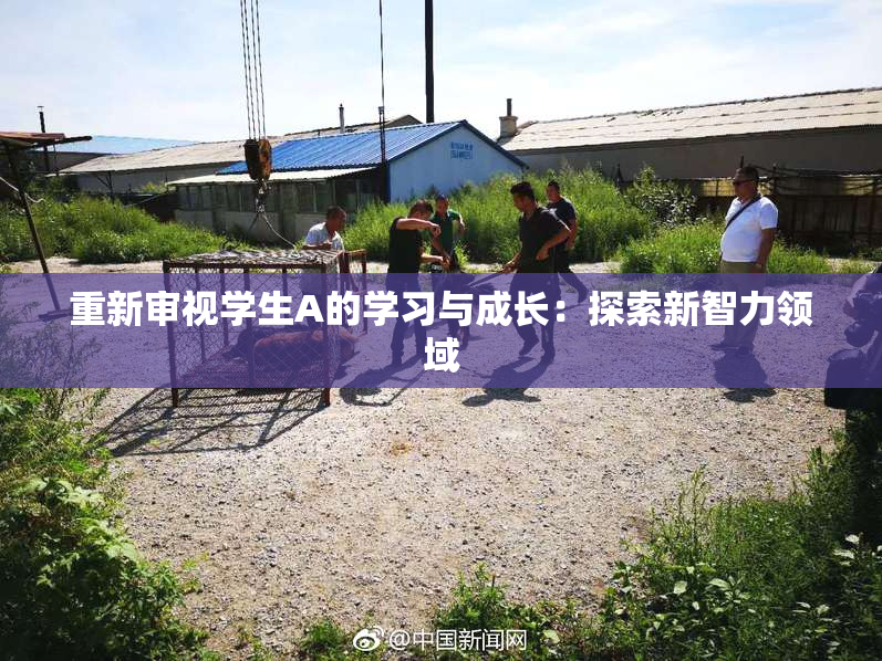 重新审视学生A的学习与成长：探索新智力领域