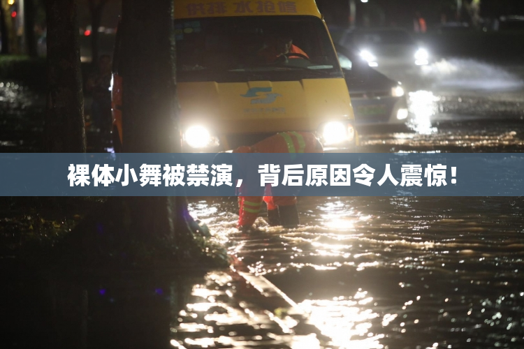 裸体小舞被禁演，背后原因令人震惊！