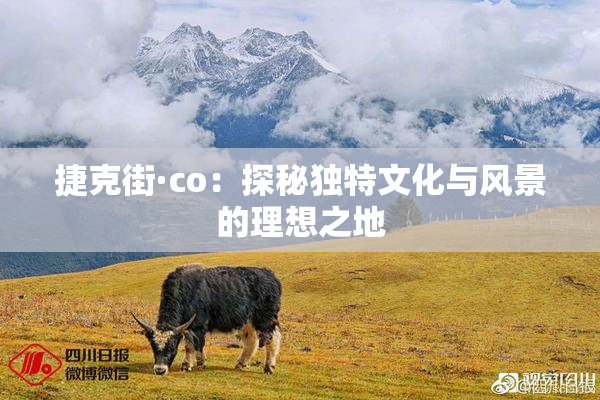 捷克街·co：探秘独特文化与风景的理想之地