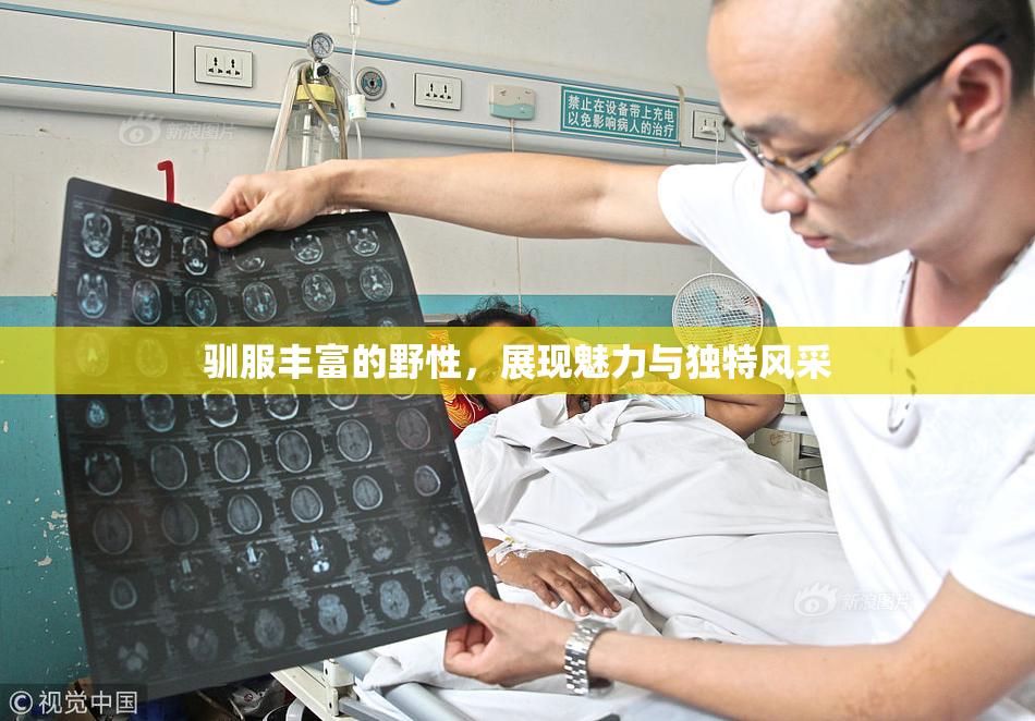 驯服丰富的野性，展现魅力与独特风采