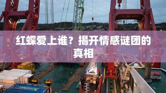 红蝶爱上谁？揭开情感谜团的真相
