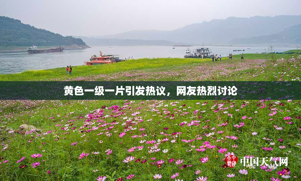 黄色一级一片引发热议，网友热烈讨论