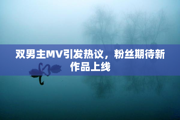 双男主MV引发热议，粉丝期待新作品上线