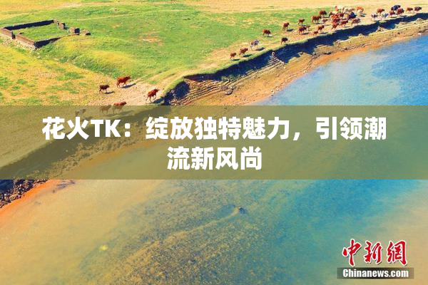 花火TK：绽放独特魅力，引领潮流新风尚