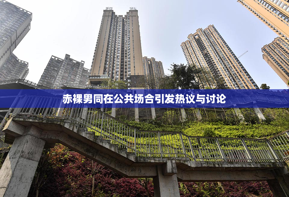 赤裸男同在公共场合引发热议与讨论