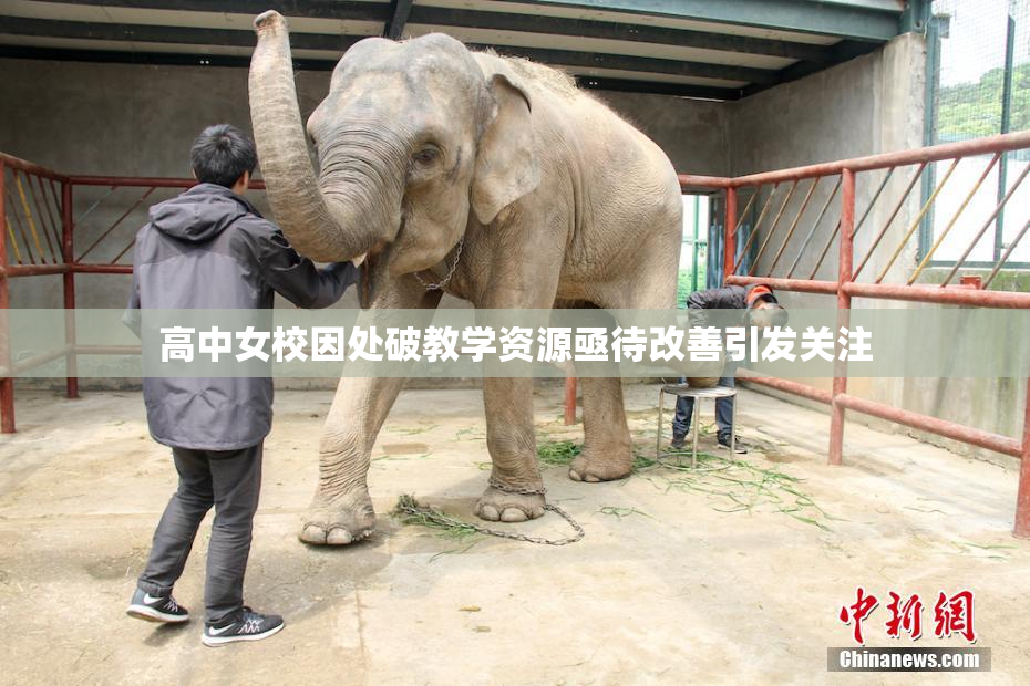高中女校因处破教学资源亟待改善引发关注