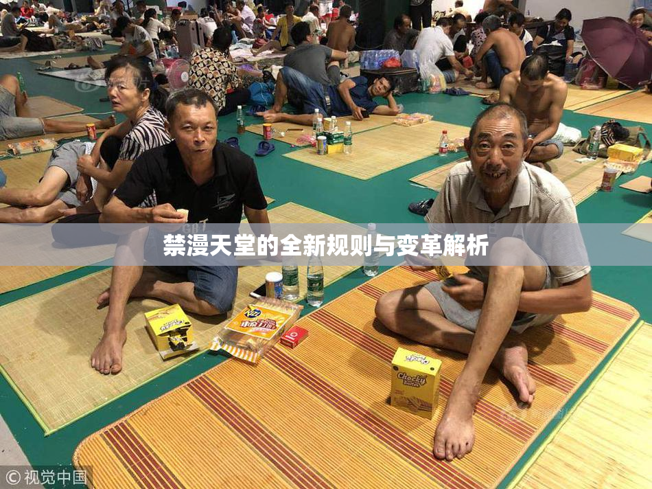 禁漫天堂的全新规则与变革解析