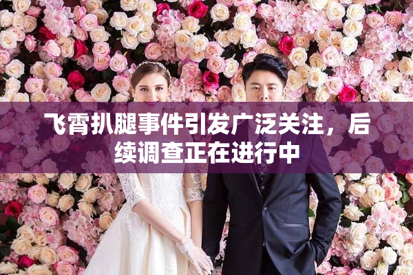 飞霄扒腿事件引发广泛关注，后续调查正在进行中