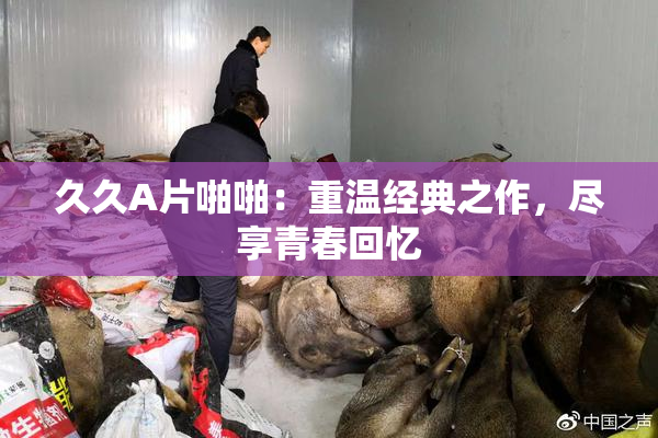 久久A片啪啪：重温经典之作，尽享青春回忆