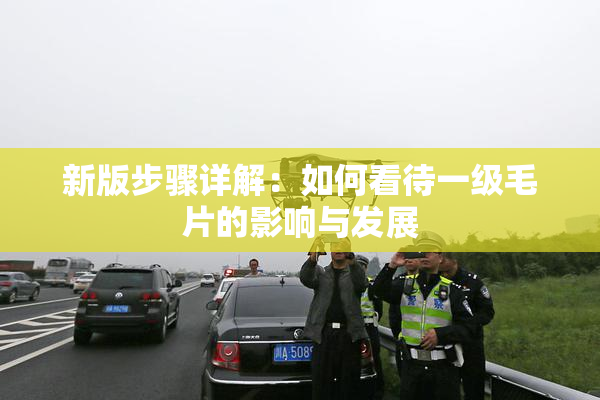 新版步骤详解：如何看待一级毛片的影响与发展