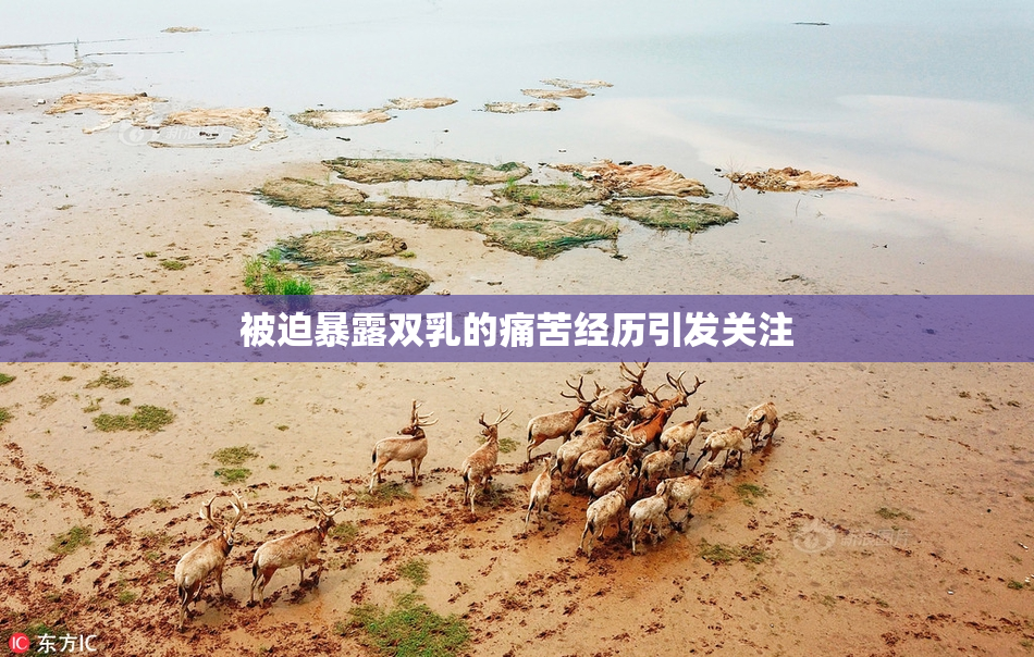 被迫暴露双乳的痛苦经历引发关注