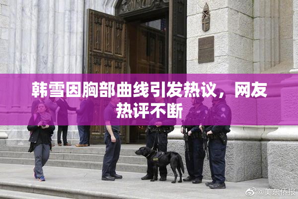 韩雪因胸部曲线引发热议，网友热评不断