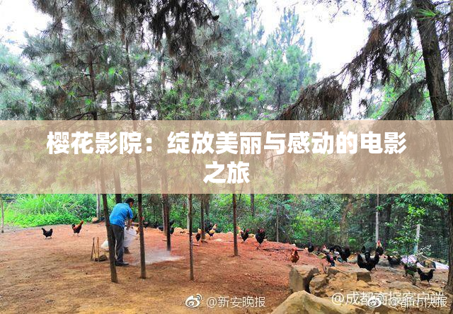 樱花影院：绽放美丽与感动的电影之旅